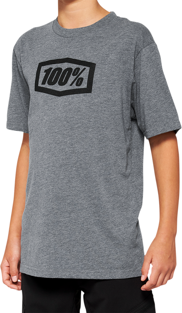 100% Youth Icon T-Shirt - Gray - Medium 20001-00009