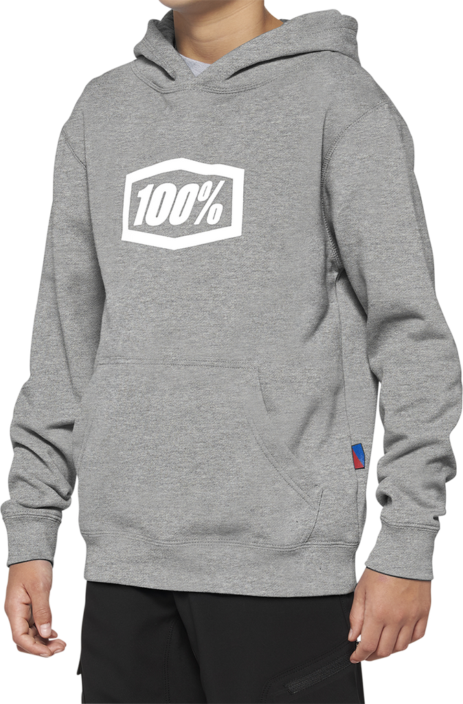 100% Youth Icon Hoodie - Gray - Large 20030-00006