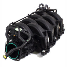 Laden Sie das Bild in den Galerie-Viewer, Ford Racing 18-21 Gen 3 5.0L Cayote Intake Manifold