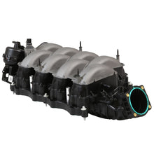 Laden Sie das Bild in den Galerie-Viewer, Ford Racing 18-21 Gen 3 5.0L Cayote Intake Manifold